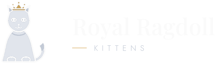 Royal Ragdoll Kittens