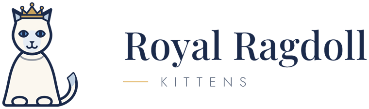 Royal Ragdoll Kittens